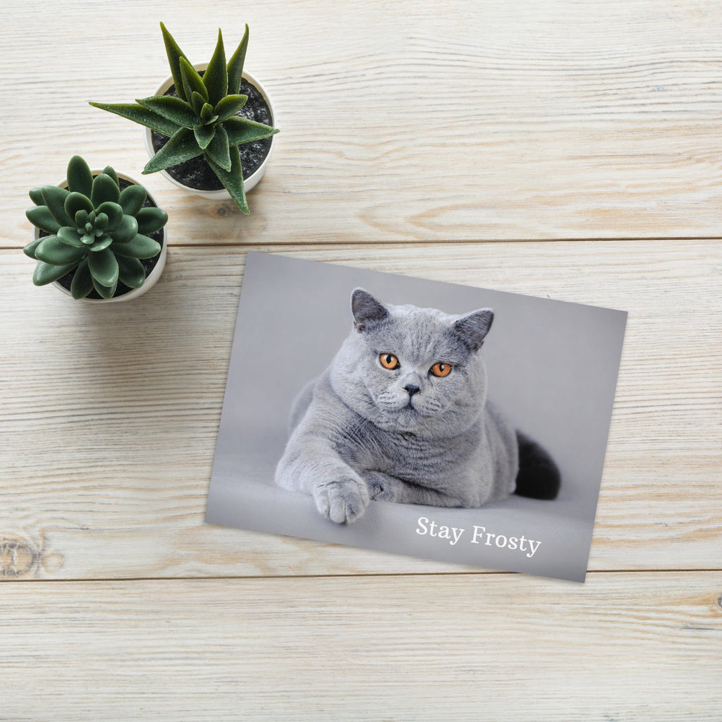 Stay Frosty Greeting Card 5″×7″ Jolly & Goode