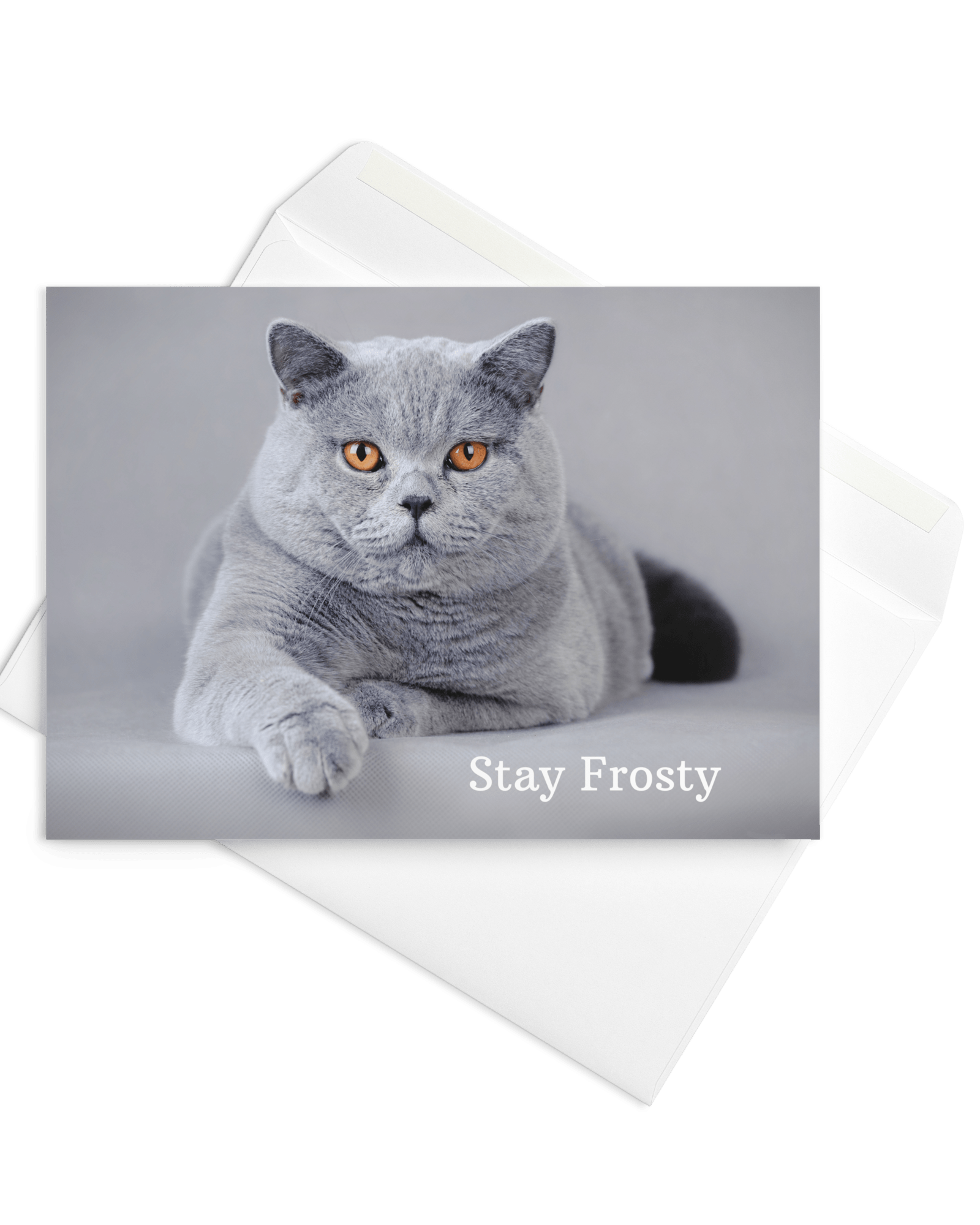 Stay Frosty Greeting Card Jolly & Goode