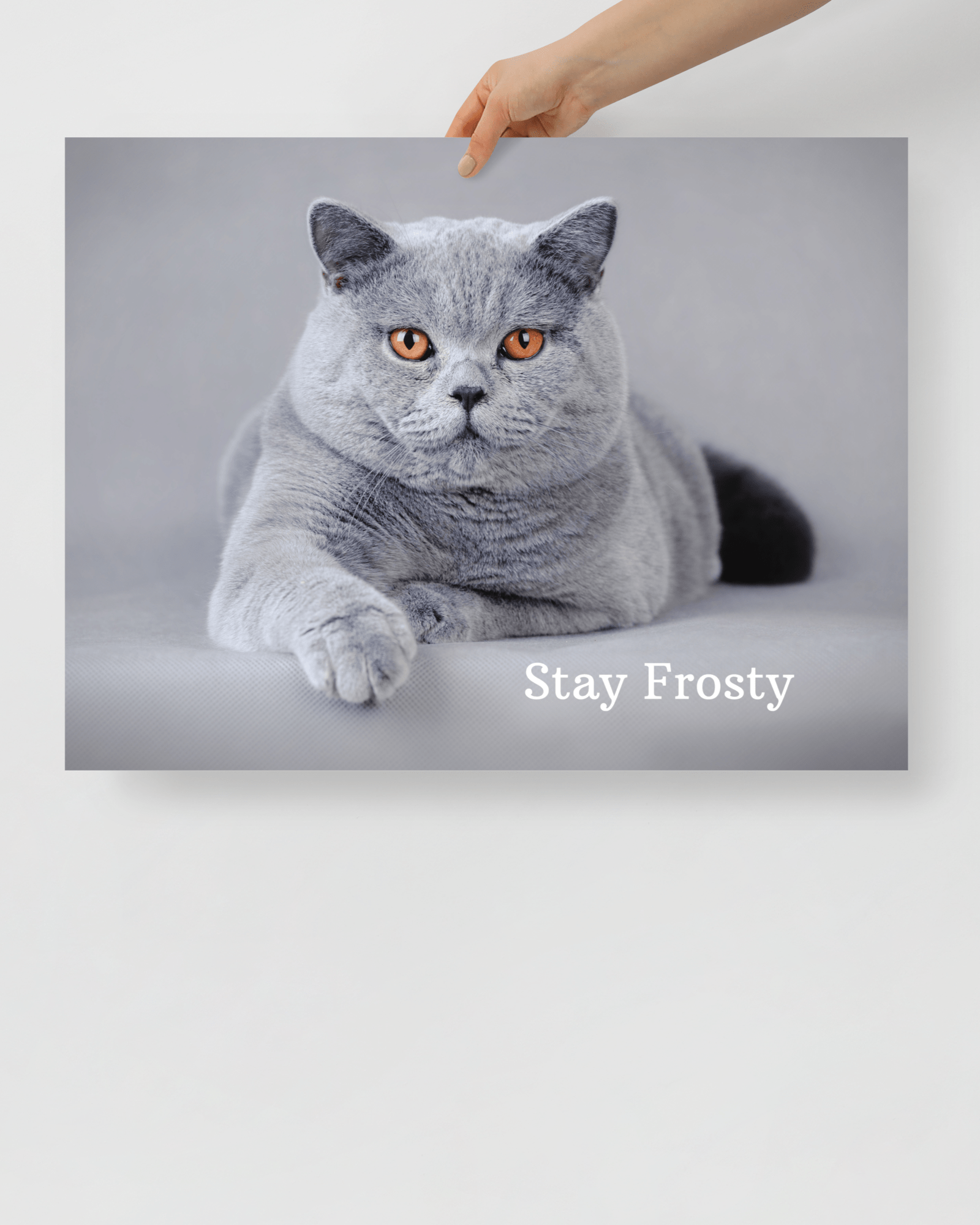 Stay Frosty Photo Paper Poster Jolly & Goode