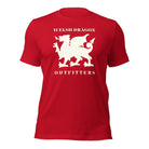 Welsh Dragon Outfitters T-shirt Jolly & Goode