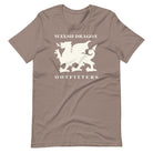 Welsh Dragon Outfitters T-shirt Pebble / S Jolly & Goode